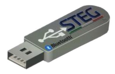Steg B5v2 Bluetooth Stick für STEG DSP und DSP Amps